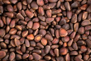 Miért érdemes odafigyelnünk a magnéziumpótlásra a legterheltebb időszakokban is?